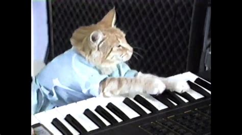 Charlie Schmidts Keyboard Cat Slowed Reverb Youtube