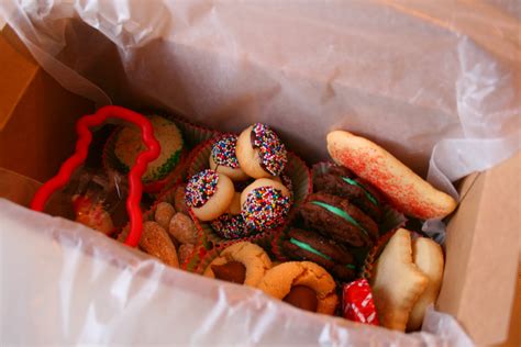 The Nesting Corral: Homemade Christmas Gifts: Cookies Boxes