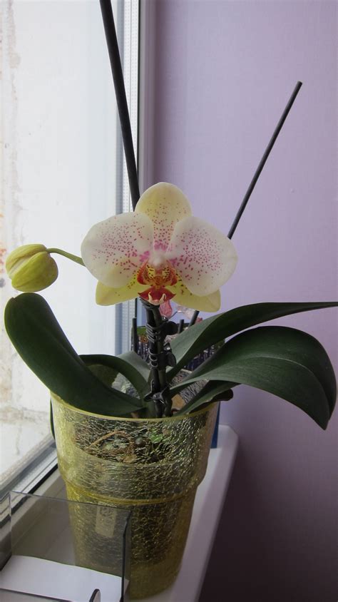 Private Photos 7121 Nude Photos6505 11591 Porn Pic