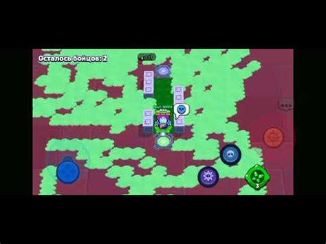 спайк кактус (2 часть ) - YouTube