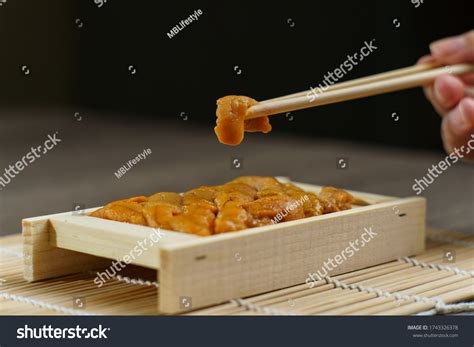3,098 Uni Urchin Images, Stock Photos, 3D objects, & Vectors | Shutterstock
