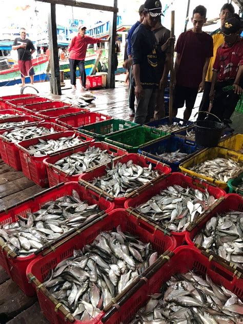 Gudang Lelang Ikan Sebagai Sentra Perikanan Di Teluk Betung Kumparan