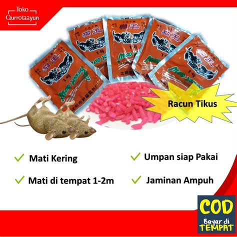 Jual Racun Tikus Curut Cerurut Paling Ampuh Mati Kering Di Tempat Tanpa