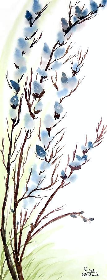 Pussy Willows In Spring Painting By Richard Stedman Pixels