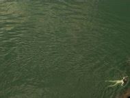 Naked Catherine Steadman In Dust Ii