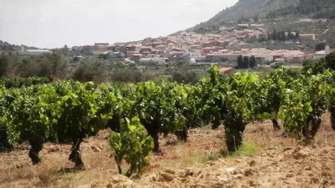 Alcadesa A Mayoral Affair Deutsch Episode Fingering Porn Feat Aris Dark XHamster