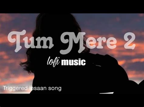 Tum Mere 2 Lofi Slowed Reverb Song Triggered Insaan Song YouTube