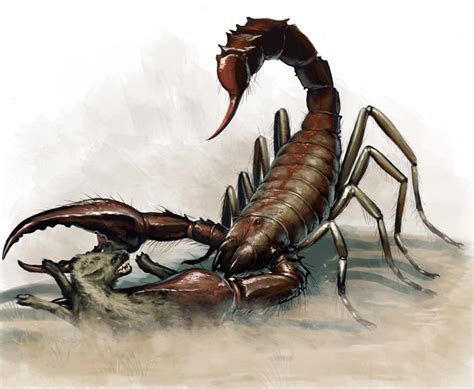 Giant Scorpion Rollplay West Marches Wiki Fandom