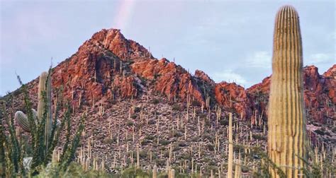 The Best Places a Local Says to Visit in Arizona