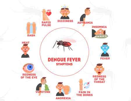 complete guide  dengue fever understanding treatment  prevention