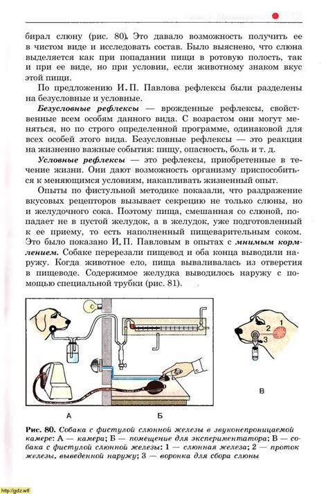 Биология за 8-ой класс - Д.В. Колесов, Р.Д. Маш. Биология. Человек. 8 ...