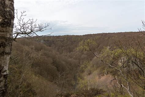 Söderåsens nationalpark Flickr