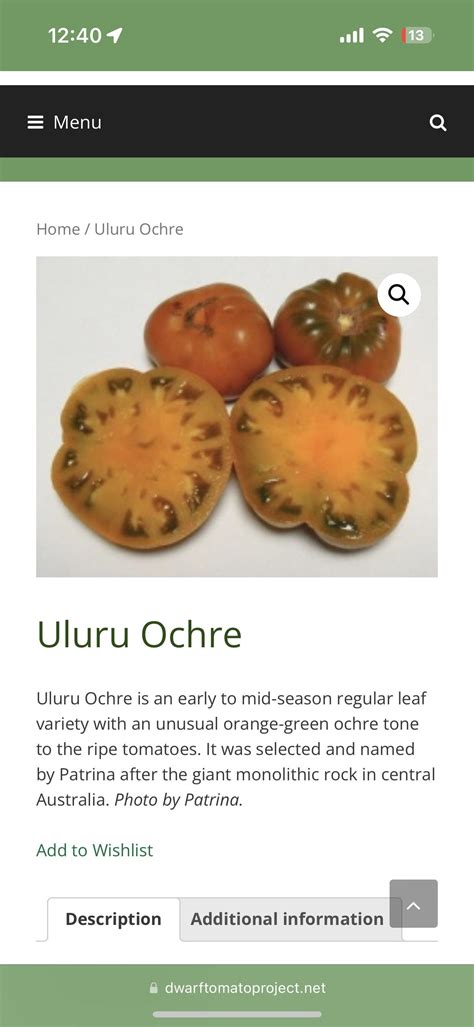 uluru  ochre rlushcosmetics