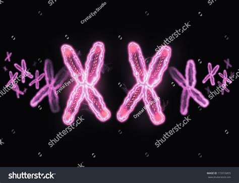 93 Determining Sex Baby Images Stock Photos Vectors Shutterstock