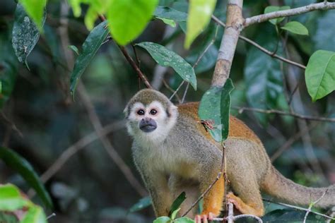 New security features will soon protect every sychrony amazon user 18