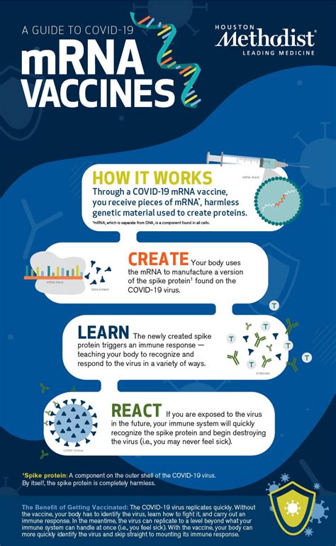 How mRNA COVID-19 Vaccines Work | Houston Methodist On Health