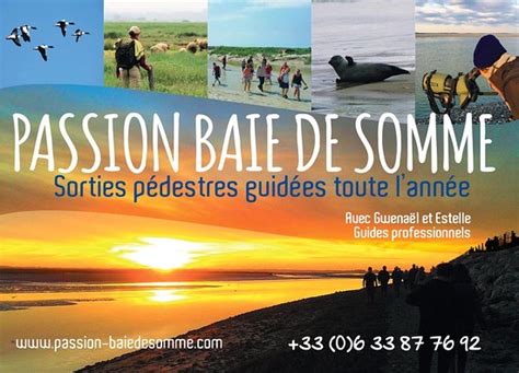 2022年 Passion Baie De Somme 行く前に！見どころをチェック トリップアドバイザー