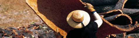 6 Hot Sexy Fernanda Mota Farhat Bikini Pics