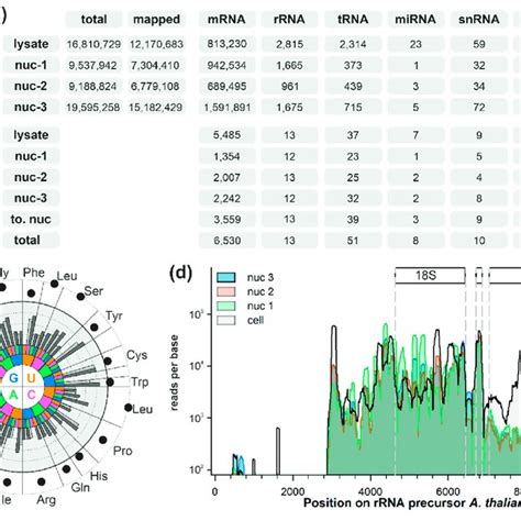 Analysis Of The Small RNA Distribution In Arabidopsis Thaliana Cells