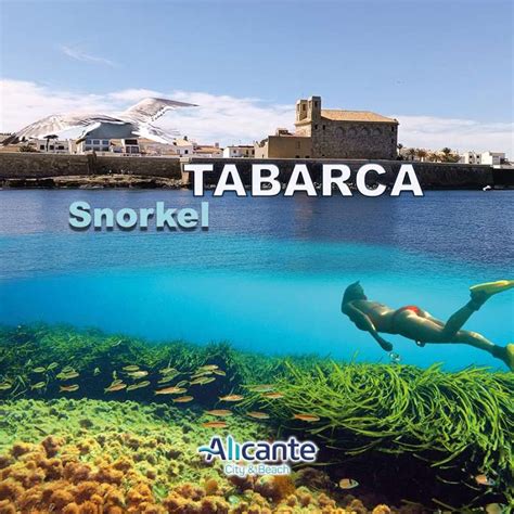 Consejos Para Hacer Snorkel En La Isla De Tabarca Blog Opiniones 2024