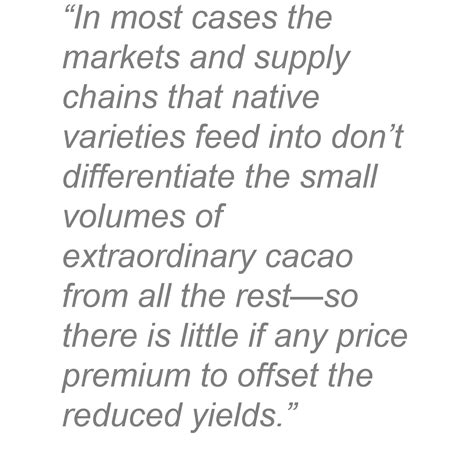 Fine Cacao is Booming. Fine Cacao is Vanishing. - Ecosystem Marketplace