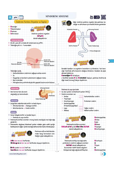 Bet L Biyoloji Konu Anlat M G Nde Ayt Biyoloji Video Kamp Kitab