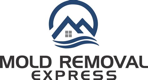 Black Mold Removal Colorados Leading Locally Owned Mold Removal Co