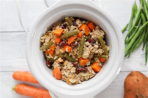 Quinoa Turkey Dog Food Recipe at Molly Nielsen blog