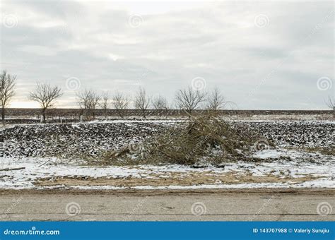 Naked Field In Winter Season Stock Photo Image Of Naked Blue 143707988