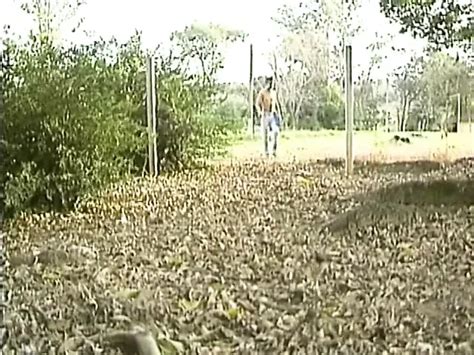 Gay Pornô em Português Vídeos de sexo legendados em Português xHamster