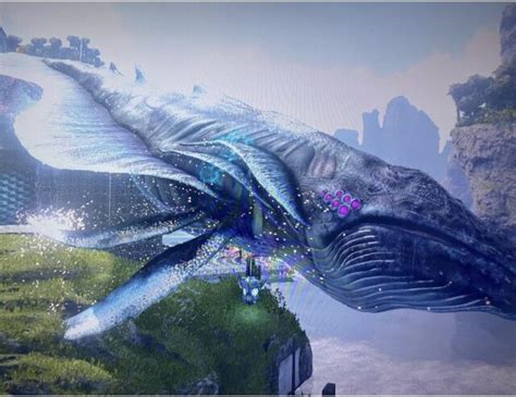 How To Tame Space Whale Ark