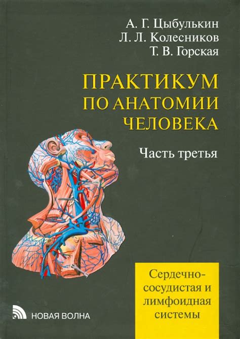 Книга: "Практикум по анатомии человека. В 4-х частях. Часть 3. Сердечно ...