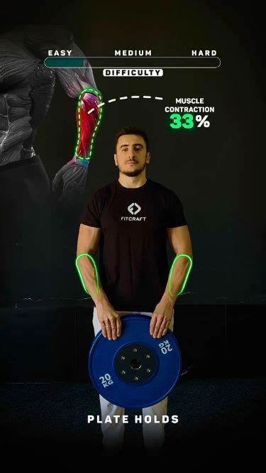 Train your forearms with three difficulty levels. | Basic gym workout ...