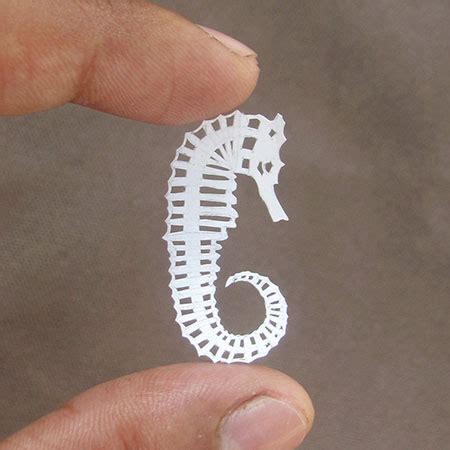 Papercut Animals