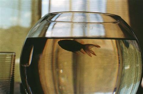 Pin Di Naked Cakebox Su Mona Lisa Sfondo Grafico Cose Belle Idee Di Fotografia