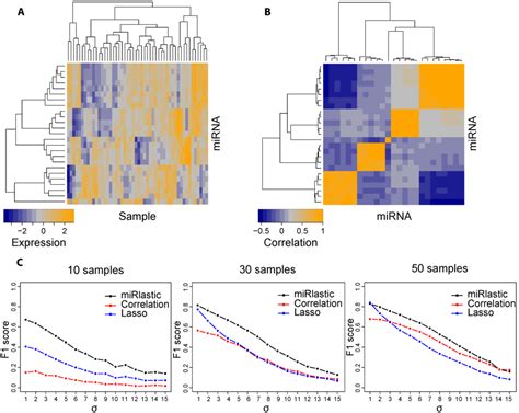 Ijms Free Full Text Microrna Target Network Inference And Local