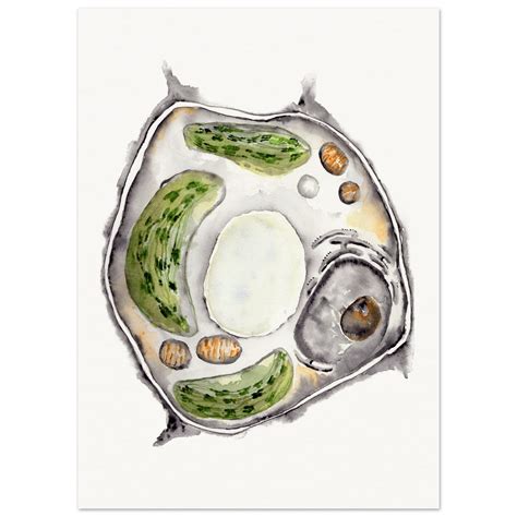 Plant Cell Art Print