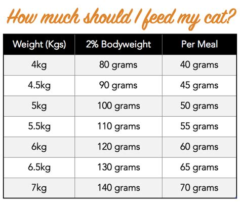 Raw Feeding Guidelines How Much To Feed Your Cat Cat Feeding Cat