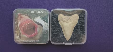 Great White Shark Tooth Replica - Etsy