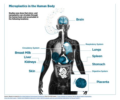 Microplastics Safer States