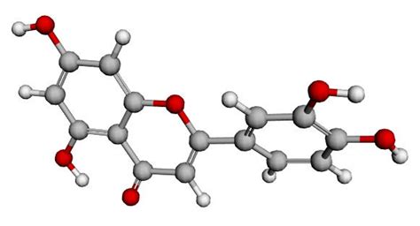 37 Luteolin Rich Foods Ranked by Luteolin Density | Hydration ...