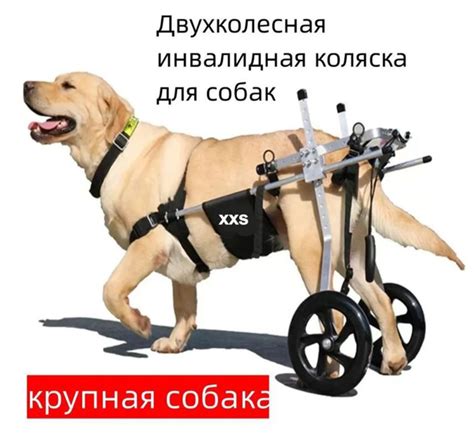 Инвалидная коляска для собак, Двухколесная реабилитационная тележка для ...