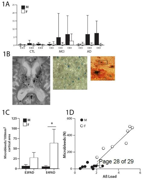 Apoe And Sex Bias In Cerebrovascular Aging Of Men And Mice Pmc