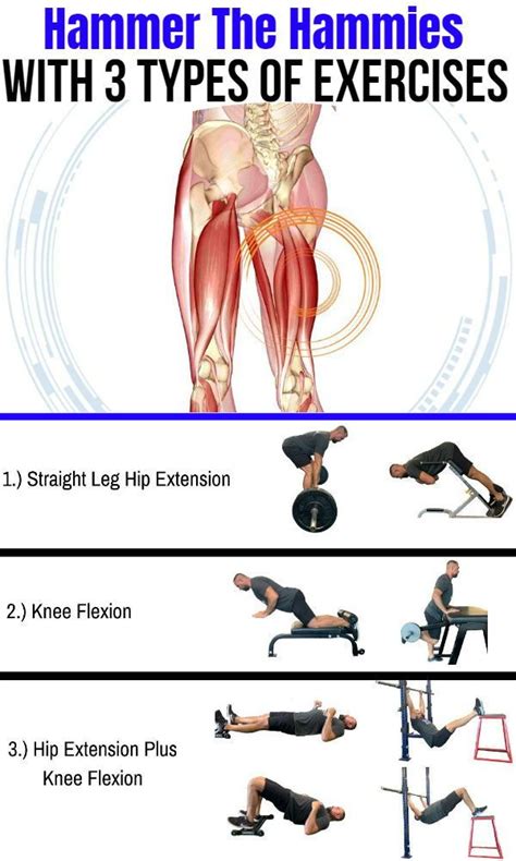 Hamstring Strengthening Exercises