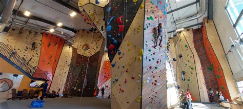 Gyms in Colorado Just hit different : r/Colorado