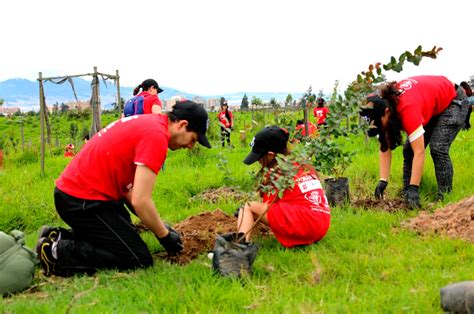 Gran Jornada De Reforestaci N A Nivel Nacional Car