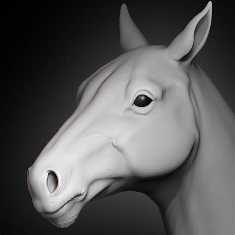 Horse Head 3d Model 19 Obj Ztl Free3d