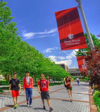 stony brook university  york