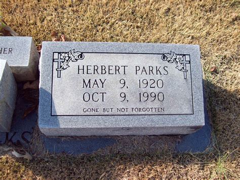 Avery Hill Local Guide: Parks, Facilities, and History 28