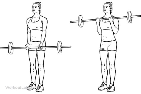 Barbell Curls / Standing Biceps Curls | WorkoutLabs